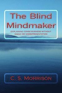 bokomslag The Blind Mindmaker: Explaining Consciousness without Magic or Misrepresentation