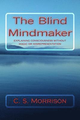 bokomslag The Blind Mindmaker: Explaining Consciousness without Magic or Misrepresentation