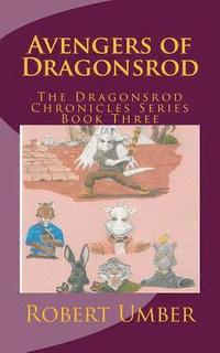 bokomslag Avengers of Dragonsrod: The Dragonsrod Chronicles Series Book Three