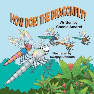bokomslag How Does The Dragonfly