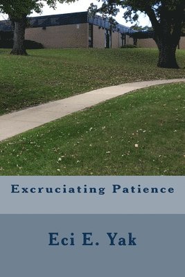 Excruciating Patience 1