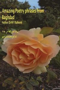 bokomslag Amazing Poetry Phrases from Baghdad