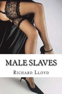 bokomslag Male Slaves