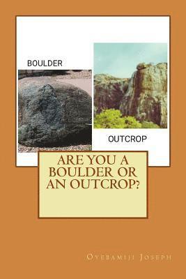 bokomslag Are you a Boulder or an Outcrop?