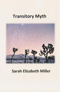 bokomslag Transitory Myth