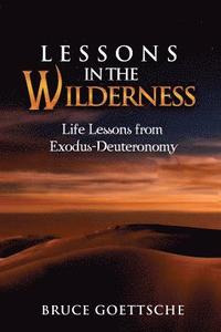 bokomslag Lessons in the Wilderness: Life Lessons from Exodus-Deuteronomy