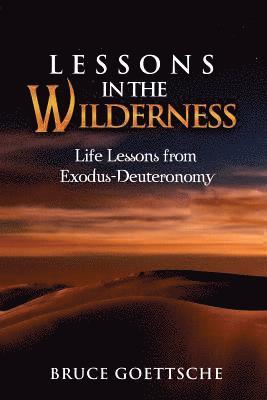 bokomslag Lessons in the Wilderness: Life Lessons from Exodus-Deuteronomy