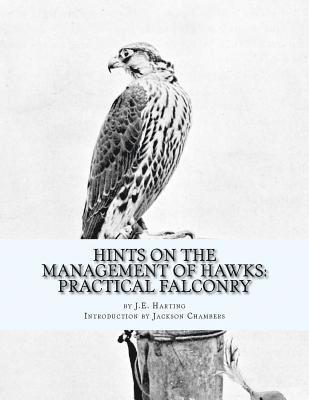 bokomslag Hints on the Management of Hawks: Practical Falconry