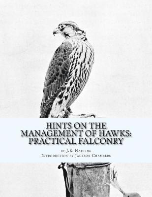 Hints on the Management of Hawks: Practical Falconry