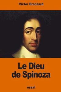 bokomslag Le Dieu de Spinoza