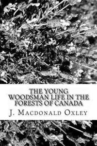 bokomslag The Young Woodsman Life in the Forests of Canada: Or Life in the Forests of Canada