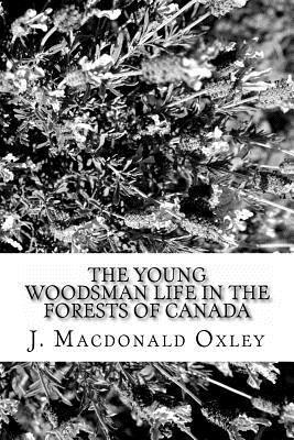 bokomslag The Young Woodsman Life in the Forests of Canada: Or Life in the Forests of Canada