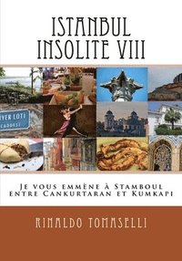 bokomslag Istanbul Insolite VIII: Je vous emmène à Stamboul entre Cankurtaran et Kumkap?