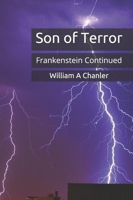 bokomslag Son Of Terror