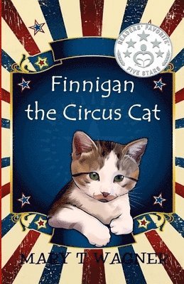 Finnigan the Circus Cat 1