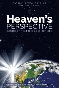 bokomslag Heaven's Perspective: Stories from the Book of Life: How a Good God Transforms Suffering into Glory