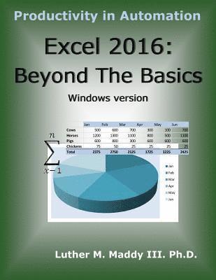 bokomslag Excel 2016: Beyond the Basics