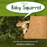 bokomslag I'm a Baby Squirrel