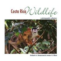 bokomslag Costa Rica Wildlife: A Photographic Collection