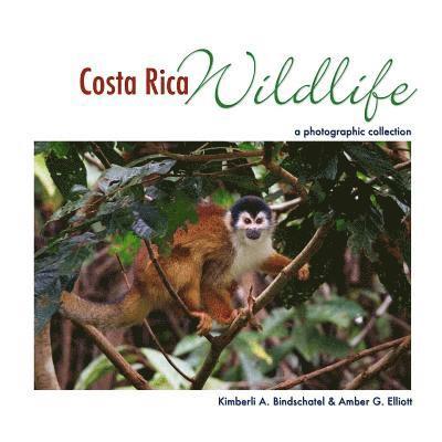 Costa Rica Wildlife: A Photographic Collection 1