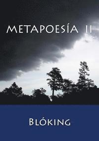 bokomslag Metapoesía II