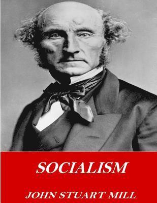 bokomslag Socialism