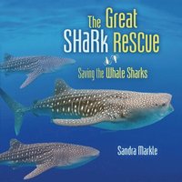 bokomslag The Great Shark Rescue: Saving the Whale Sharks