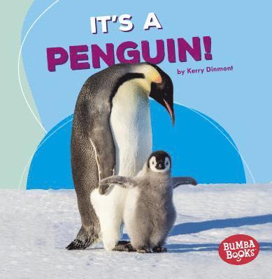 It's a Penguin! 1