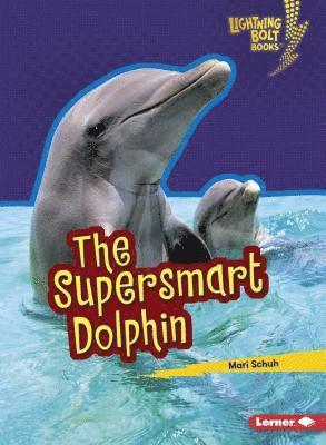 bokomslag The Supersmart Dolphin