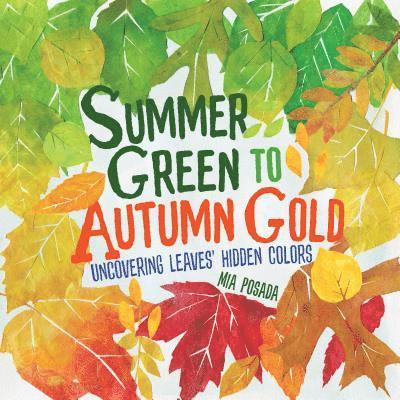 Summer Green to Autumn Gold: Uncovering Leaves' Hidden Colors 1