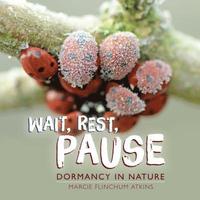 bokomslag Wait, Rest, Pause