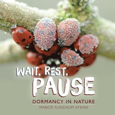 bokomslag Wait, Rest, Pause: Dormancy in Nature