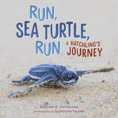 bokomslag Run, Sea Turtle, Run: A Hatchling's Journey