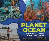 bokomslag Planet Ocean: Why We All Need a Healthy Ocean