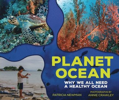 bokomslag Planet Ocean