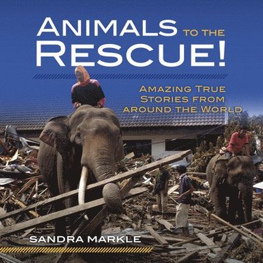 bokomslag Animals to the Rescue!
