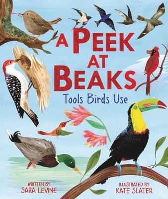 Sara Levine - Peek at Beaks, Inbunden