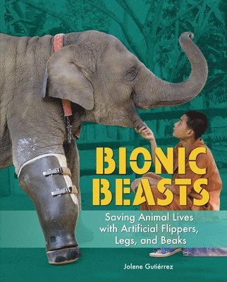 bokomslag Bionic Beasts