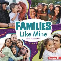 bokomslag Families Like Mine