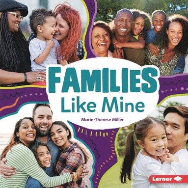 bokomslag Families Like Mine
