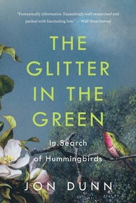 bokomslag The Glitter in the Green