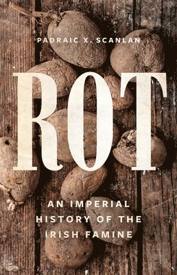 bokomslag Rot: An Imperial History of the Irish Famine