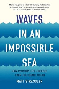 bokomslag Waves in an Impossible Sea