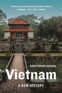 bokomslag Vietnam: A New History