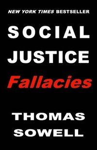 bokomslag Social Justice Fallacies