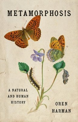 bokomslag Metamorphosis