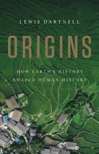 bokomslag Origins: How Earth's History Shaped Human History