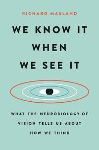bokomslag We Know It When We See It: What the Neurobiology of Vision Tells Us about How We Think