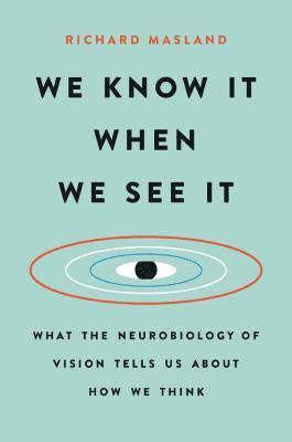 bokomslag We Know It When We See It: What the Neurobiology of Vision Tells Us about How We Think