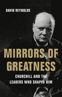bokomslag Mirrors of Greatness